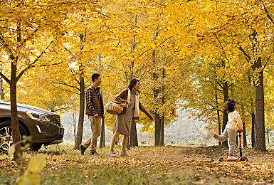 合作跳跃游戏《布莱德与弗莱德》发布试玩版